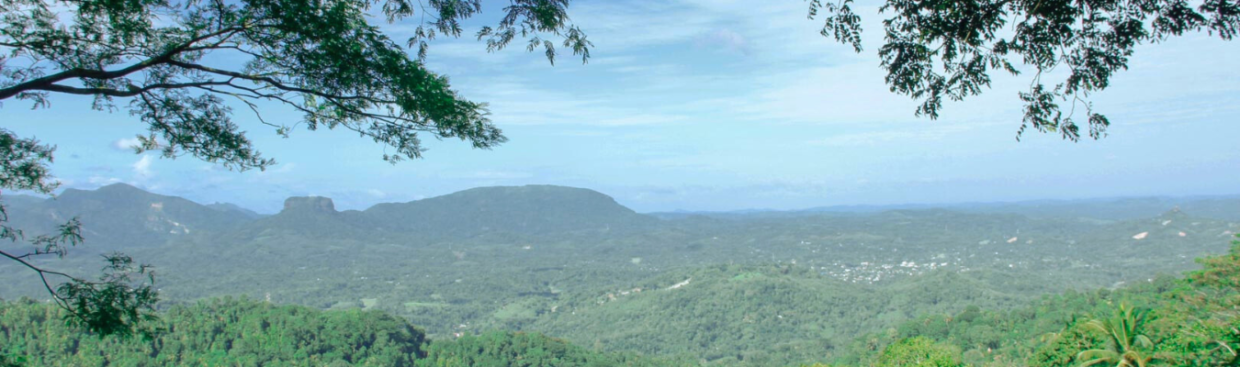 Knuckles Mountain Range