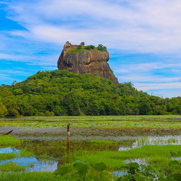 Home - Sri Lanka Authentic Holidays