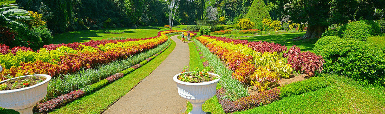 peradeniya