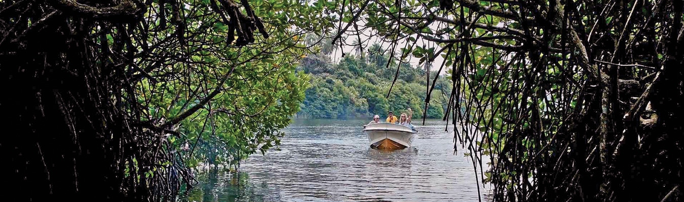 Boat Trip on the Madu River