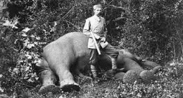 Elephant hunting in Sri Lanka by colonisers