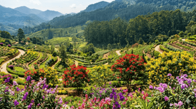 blooming seasons in Sri Lanka